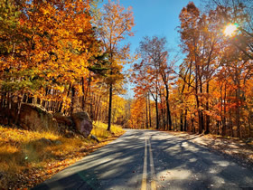 Beautiful Fall Colors