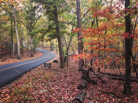 Beautiful Fall Colors