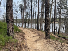 Horse Trail on Mountain Creek