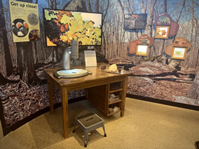 Inside Through the ages Museum